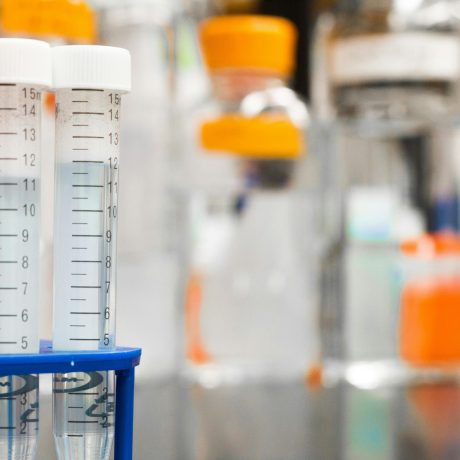 Two 15ml graduated centrifuge tubes in a blue rack on a lab bench, with reagent bottles blurred in background.